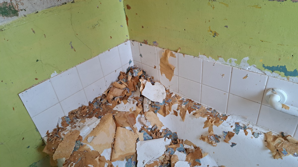 Handyman: Image 11